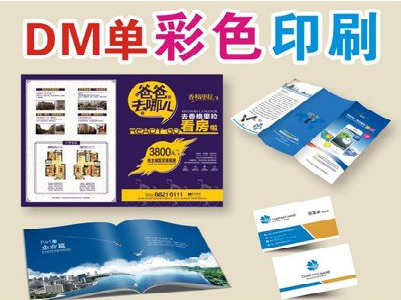 公安单页印刷，色彩搭配简单。